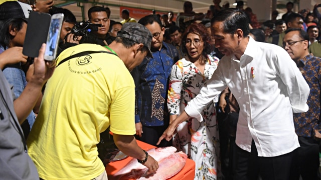 Jokowi, Pasar Ikan Muara Baru, Penjaringan, Jakarta Utara