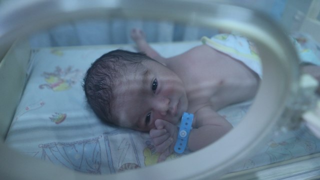 Penyebab Bayi Baru Lahir Harus Masuk Inkubator (16841)