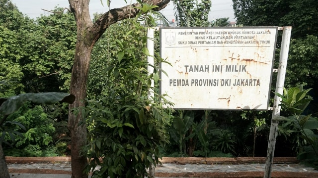 Ilustrasi tanah milik Pemda Provinsi DKI Jakarta. Foto: Nugroho Sejati/kumparan