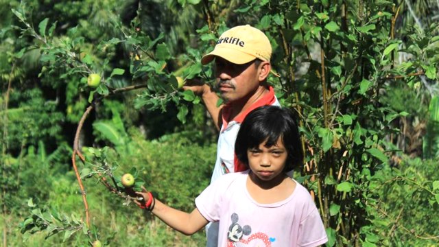 Nirwan Nirdin (51) warga Desa Dulamayo, kecamatan Talaga Biru, Kab. Gorontalo. memperlihatkan Buah apel yang berhasil ia kembangkan. (17/3). Foto : Febriandy Abidin