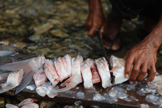 Ikan kerling sedang dibersihkan untuk dimasak. Foto: Suparta/acehkini