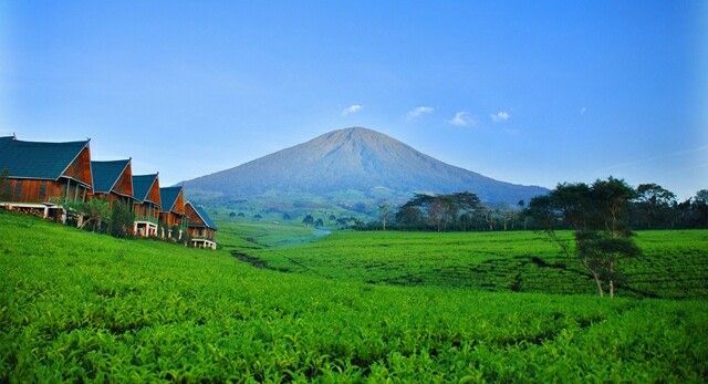 5 Tempat Wisata yang Lagi Hits di Pagaralam | kumparan.com