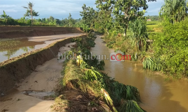 Awas! Tebing Jalan di Kenduruan Longsor