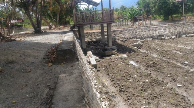 Salah satu tambak budidaya ikan air tawar milik warga yang ada di Desa Potoya, Kecamatan Dolo, Kabupaten Sigi, Sulteng, yang kering akibat tidak adanya suplai air dari jaringan irigasi sungai gumbasa. Foto: Abidin