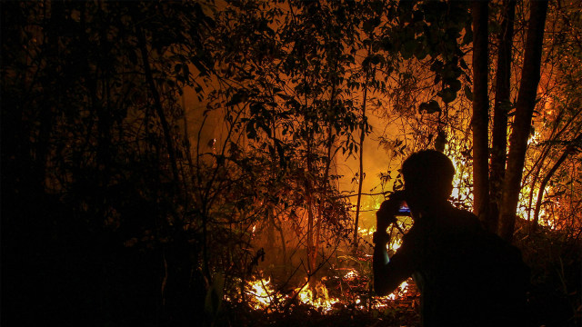 Ilustrasi kebakaran hutan. Foto: ANTARA FOTO/Rony Muharrman