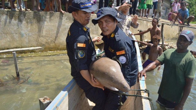 KKP lepasliarkan dugong di Sorong, Papua. Foto: Dok. KKP