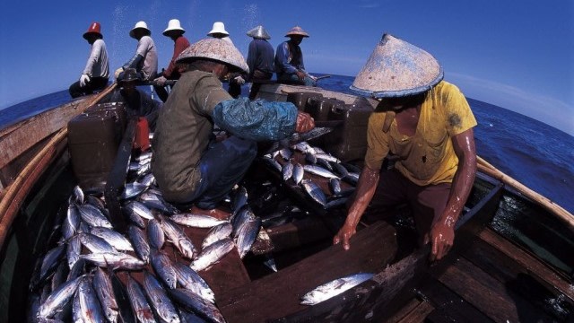 Ilustrasi nelayan | Foto: kumparan