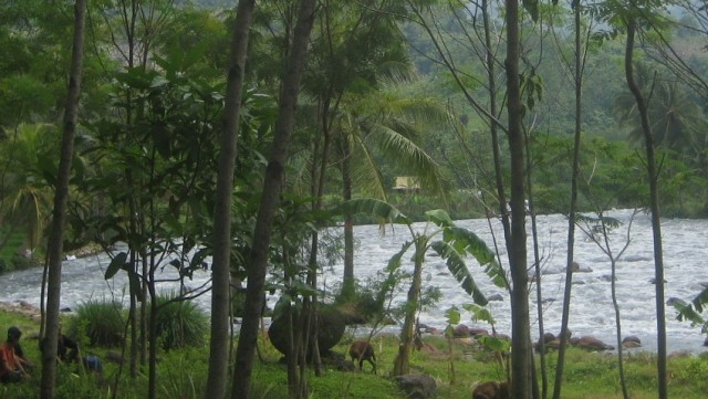 Sungai Citarum yang melintasi perbatasan Kabupaten Bandung Barat dan Cianjur, Jawa Barat. (Iman Herdiana)