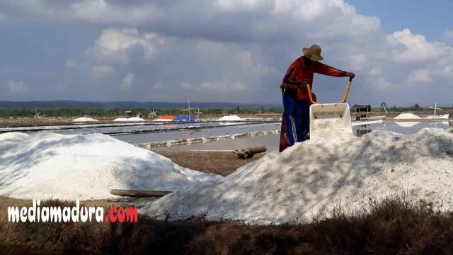 Petani garam Sampang menumpuk hasil produksi panennya yang tidak terserap. (Dok/MM).
