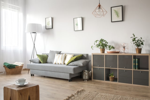 Dekorasi ruangan. Foto: Shutterstock