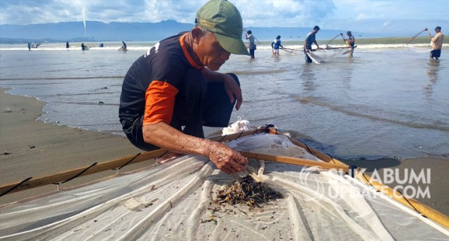 Warga mengumpulkan ikan impun hasil tangkapan di muara Pantai Citepus, Palabuhanratu, Selasa (2/4/2019). | Sumber Foto:Nandi.