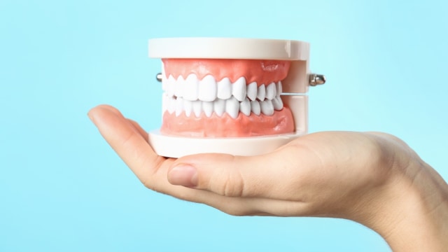 Ilustrasi gigi dan gusi. Foto: Shutterstock