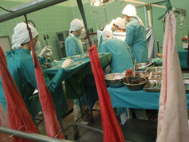 Penemuan Metode Penyembuhan Kelainan Genetika (106568)