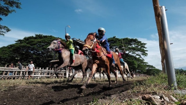 Pacuan Kuda di Dompu. Foto: Trip Salam Indonesia