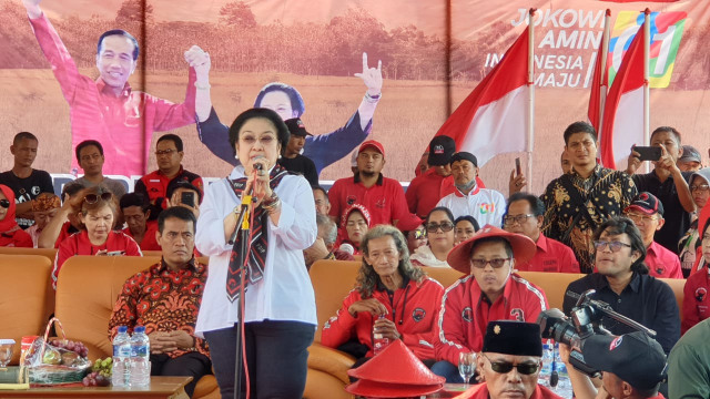 Kampanye PDIP di Indramayu, Megawati Panen Raya Padi Jenis MSP (110573)