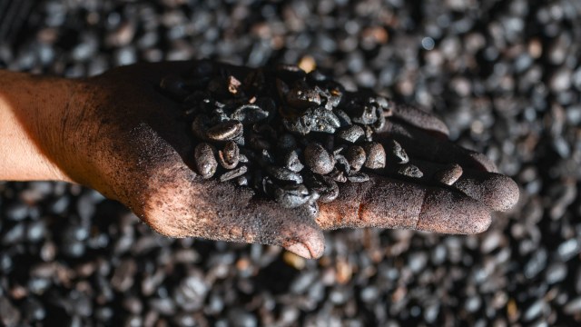 Biji kopi hasil pemanggangan secara tradisional di Banda Aceh. Foto: AFP/CHAIDEER MAHYUDDIN