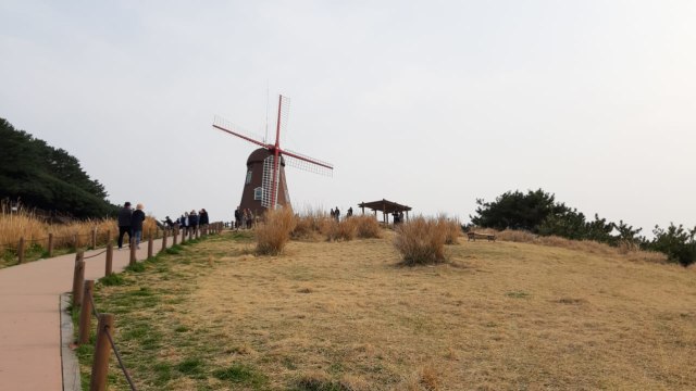 Windy Hill
