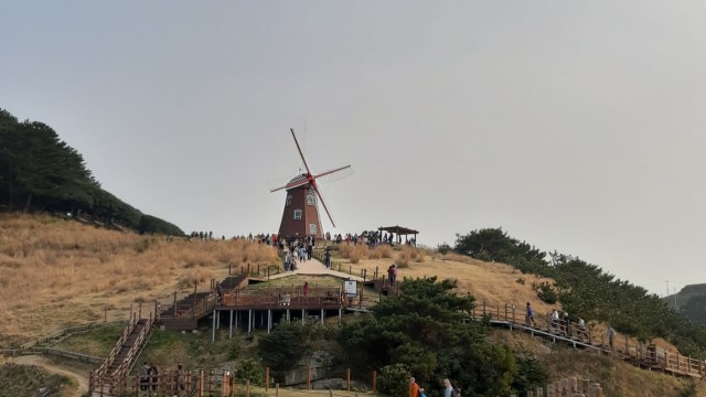 Pemandangan di Windy Hill, Geoje, Gyeongsangnam-do, Korea Selatan. Foto: Andari Novianti/kumparan