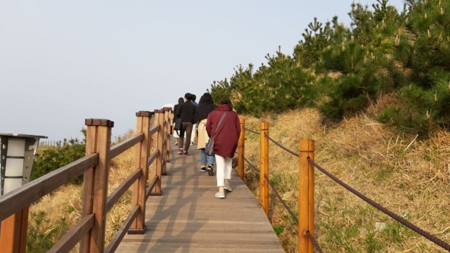 Jalan menuju Windy Hill, Geoje, Gyeongsangnam-do, Korea Selatan. Foto: Andari Novianti/kumparan