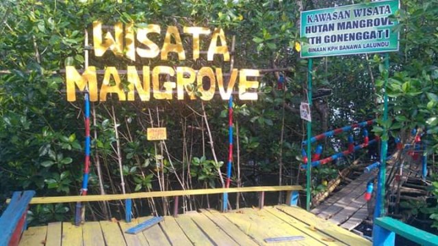 Hutan Mangrove Donggala Sulawesi Siap Disulap Jadi Objek