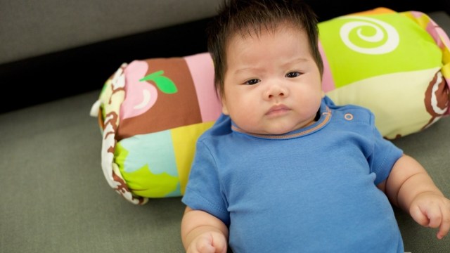 Ilustrasi bayi gemuk. Foto: Shutterstock