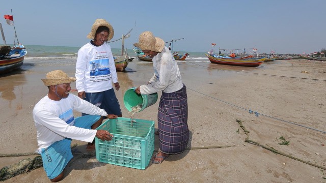 Aktivitas nelayan di Desa Karangagung Kecamatan Palang Kabupaten Tuban Jawa Timur. (Foto Istimewa) 