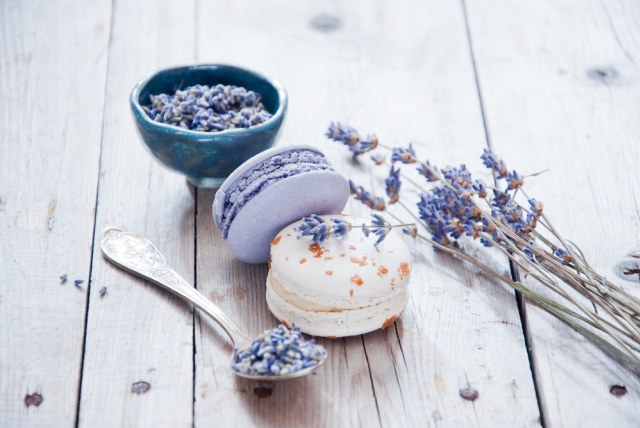 Lavender