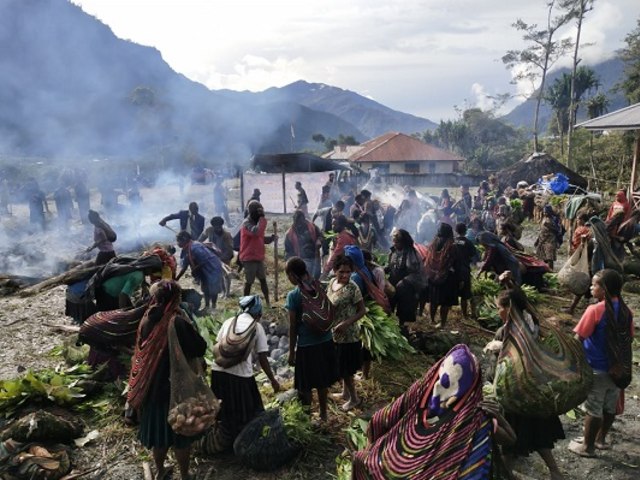 Aktifitas bakar batu warga di Kabupaten Nduga. (Dok: Pendam Cenderawasih)