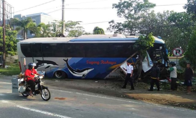 Bus Sugeng Rahayu yang menabrak pohon