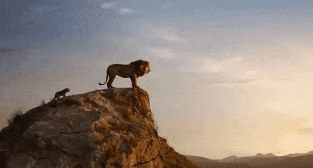 The Lion King Foto: YouTube/The Lion King
