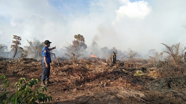 6 Hektare Lahan Terbakar di Aceh Selatan (2).jpeg