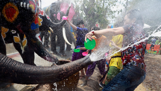 Gajah, Festival Songkran di Ayutthaya, Thailand
