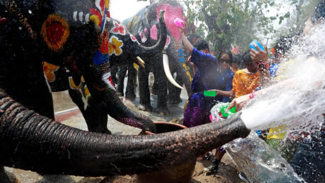 Gajah, Festival Songkran di Ayutthaya, Thailand
