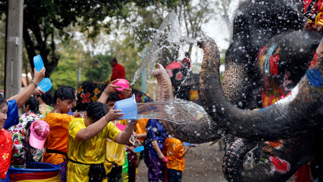Gajah, Festival Songkran di Ayutthaya, Thailand