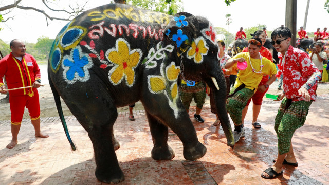 Gajah, Festival Songkran di Ayutthaya, Thailand