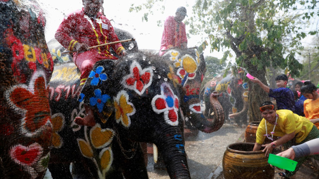 Gajah dan masyarakat bermain dengan air saat perayaan Festival Songkran di Ayutthaya, Thailand. Foto: REUTERS/Soe Zeya Tun