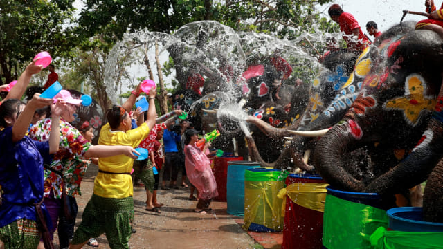 Gajah, Festival Songkran di Ayutthaya, Thailand