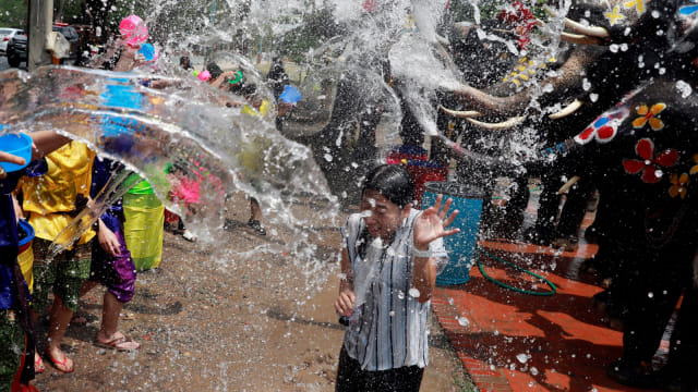 Gajah, Festival Songkran di Ayutthaya, Thailand