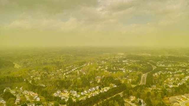 Kabut serbuk sari di Durham, North Carolina