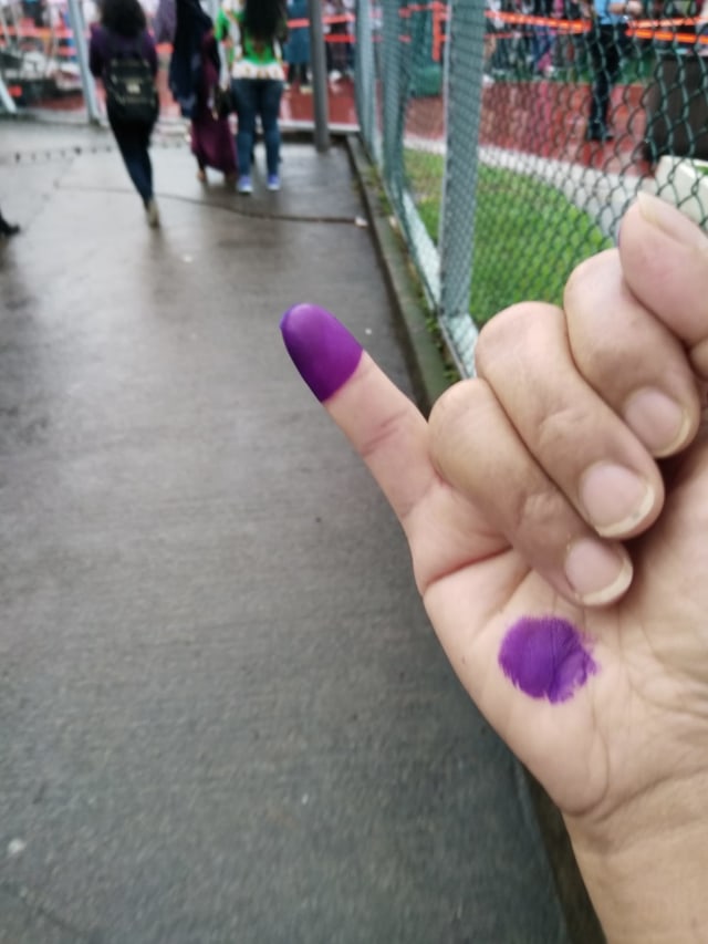 Antusiasme Warna Negara Indonesia, Pemilu 2019 di TPS Yuen Long, Hong Kong (NOT COVER)