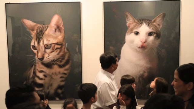 Prabowo hadiri pameran seni foto kucing di Galeri Seni Tugu Kunstkring Paleis jalan Teuku Umar, Menteng, Jakarta Pusat, Minggu (14/4/2019). Foto: Dok. Tim Prabowo Subianto