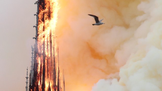 Duka Pemimpin Dunia untuk Notre Dame (79302)