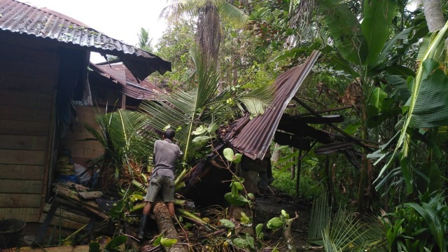Salah satu rumah tertimpa pohon di Kabupaten Bener Meriah. Foto: Dok. BPBA