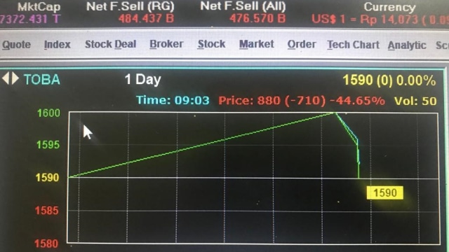 Saham PT Toba Bara Sejahtra, Luhut Panjaitan
