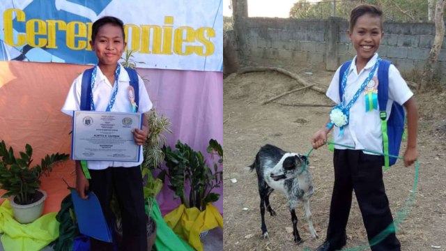 Bocah asal Filipina memilih dihadiahi kambing saat kelulusannya dibandingkan gadget. (foto: Facebook/Alvin Gaoiran Robiniol)