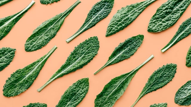 Manfaat Sayur Kale untuk Ibu Hamil. Foto: Shutterstock/SEEDJAN