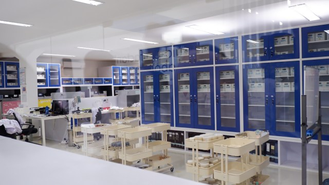 Pabrik PT Paragon Technology & Inovation Wardah