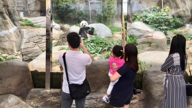 Ocean Park