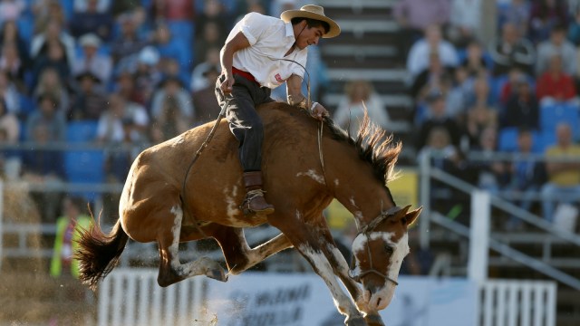 Festival Creole, Rodeo, Montevideo
