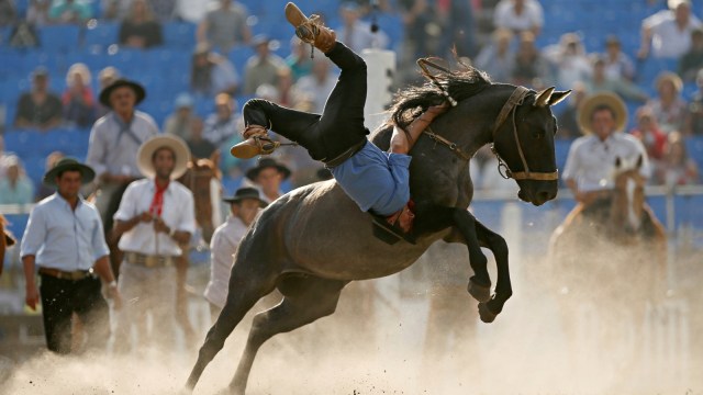 Festival Creole, Rodeo, Montevideo